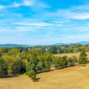 Photo #21 of Horseshoe Creek Ln, Amherst, VA 50.0 acres