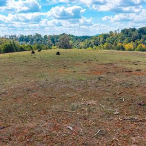 Photo #66 of Horseshoe Creek Ln, Amherst, VA 50.0 acres