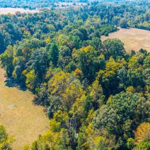 Photo #6 of Horseshoe Creek Ln, Amherst, VA 50.0 acres