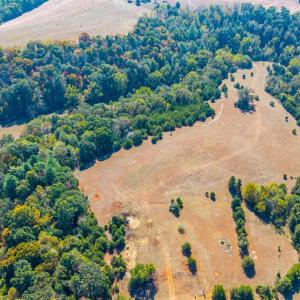 Photo #52 of Horseshoe Creek Ln, Amherst, VA 50.0 acres