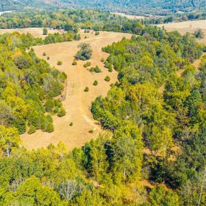 Photo #13 of Horseshoe Creek Ln, Amherst, VA 50.0 acres