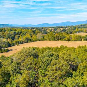 Photo #5 of Horseshoe Creek Ln, Amherst, VA 50.0 acres
