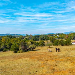 Photo #40 of Horseshoe Creek Ln, Amherst, VA 50.0 acres