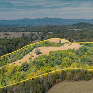 Photo #57 of Horseshoe Creek Ln, Amherst, VA 50.0 acres
