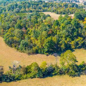 Photo #9 of Horseshoe Creek Ln, Amherst, VA 50.0 acres