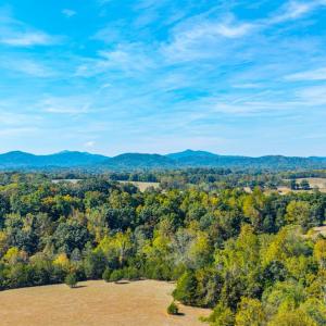Photo #19 of Horseshoe Creek Ln, Amherst, VA 50.0 acres