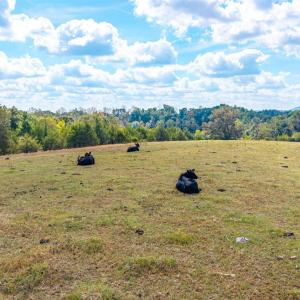 Photo #67 of Horseshoe Creek Ln, Amherst, VA 50.0 acres