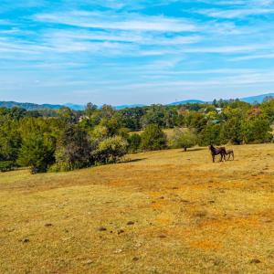 Photo #39 of Horseshoe Creek Ln, Amherst, VA 50.0 acres