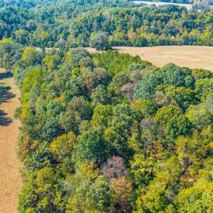 Photo #10 of Horseshoe Creek Ln, Amherst, VA 50.0 acres