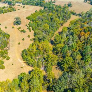 Photo #48 of Horseshoe Creek Ln, Amherst, VA 50.0 acres