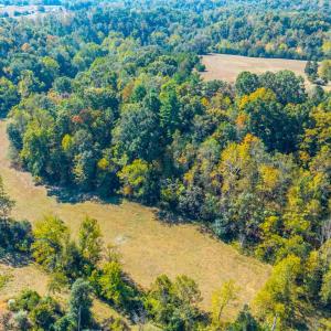 Photo #7 of Horseshoe Creek Ln, Amherst, VA 50.0 acres