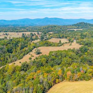 Photo #47 of Horseshoe Creek Ln, Amherst, VA 50.0 acres