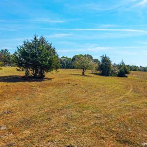 Photo #36 of Horseshoe Creek Ln, Amherst, VA 50.0 acres