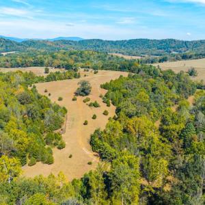 Photo #14 of Horseshoe Creek Ln, Amherst, VA 50.0 acres