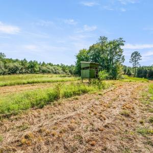 Photo #63 of 11271 Kentuck Road, Sutherlin, VA 574.4 acres