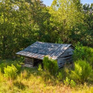 Photo #52 of 11271 Kentuck Road, Sutherlin, VA 574.4 acres