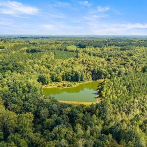 Photo #29 of 11271 Kentuck Road, Sutherlin, VA 574.4 acres