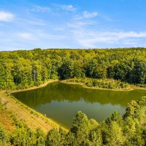 Photo #5 of 11271 Kentuck Road, Sutherlin, VA 574.4 acres