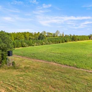 Photo #39 of 11271 Kentuck Road, Sutherlin, VA 574.4 acres