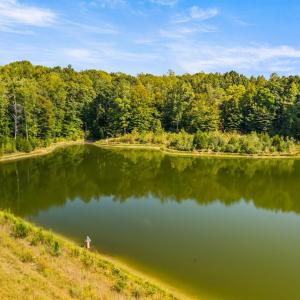 Photo #30 of 11271 Kentuck Road, Sutherlin, VA 574.4 acres