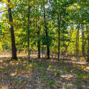 Photo #10 of 1 Falling Creek Road, Bedford, VA 8.9 acres