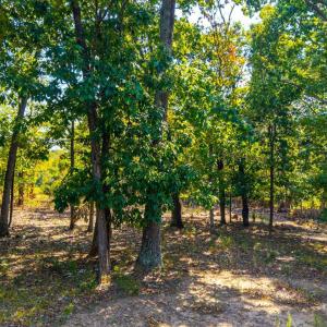 Photo #9 of 1 Falling Creek Road, Bedford, VA 8.9 acres