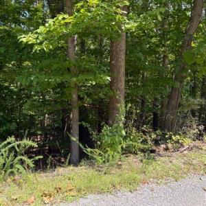 Photo #2 of Fields Avenue, Blue Ridge, VA 0.6 acres