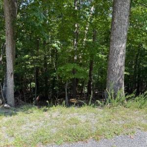 Photo #1 of Fields Avenue, Blue Ridge, VA 0.6 acres