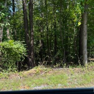 Photo #1 of Fields Avenue, Blue Ridge, VA 0.7 acres