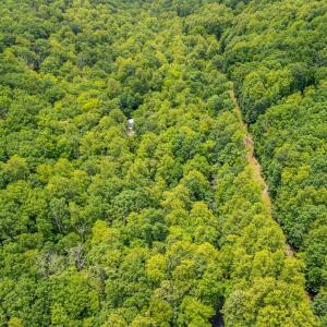 Photo #15 of 1509 Spruce Creek, Nellysford, VA 6.5 acres