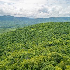 Photo #19 of 1509 Spruce Creek, Nellysford, VA 6.5 acres