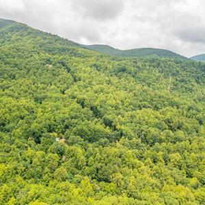 Photo #17 of 1509 Spruce Creek, Nellysford, VA 6.5 acres