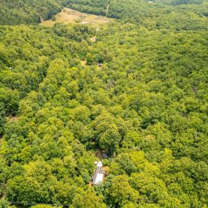 Photo #18 of 1509 Spruce Creek, Nellysford, VA 6.5 acres