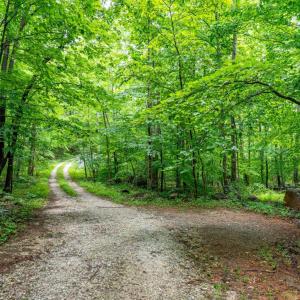 Photo #13 of 1509 Spruce Creek, Nellysford, VA 6.5 acres