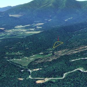 Photo #22 of 1509 Spruce Creek, Nellysford, VA 6.5 acres