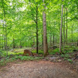 Photo #8 of 1509 Spruce Creek, Nellysford, VA 6.5 acres