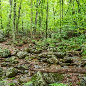Photo #1 of 1509 Spruce Creek, Nellysford, VA 6.5 acres