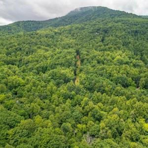 Photo #21 of 1509 Spruce Creek, Nellysford, VA 6.5 acres