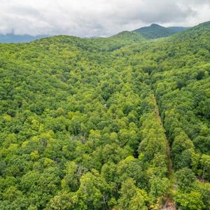 Photo #20 of 1509 Spruce Creek, Nellysford, VA 6.5 acres