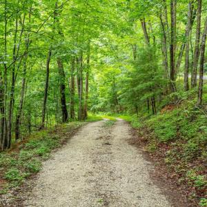 Photo #3 of 1509 Spruce Creek, Nellysford, VA 6.5 acres
