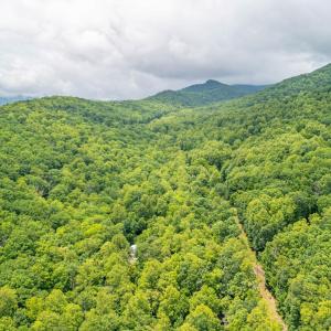 Photo #16 of 1509 Spruce Creek, Nellysford, VA 6.5 acres