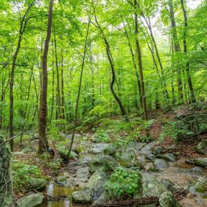 Photo #2 of 1509 Spruce Creek, Nellysford, VA 6.5 acres