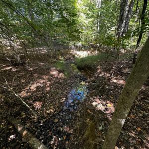 Photo #7 of Neighbors Drive, Amherst, VA 9.7 acres