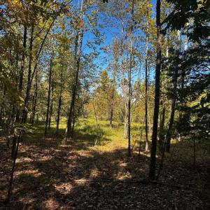 Photo #4 of Neighbors Drive, Amherst, VA 9.7 acres