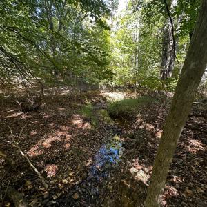 Photo #5 of Neighbors Drive, Amherst, VA 9.7 acres