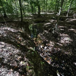Photo #6 of Neighbors Drive, Amherst, VA 9.7 acres