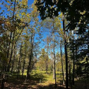 Photo #3 of Neighbors Drive, Amherst, VA 9.7 acres