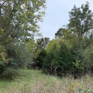 Photo #2 of Moneta Road, Moneta, VA 1.9 acres