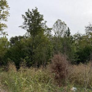 Photo #3 of Moneta Road, Moneta, VA 1.9 acres