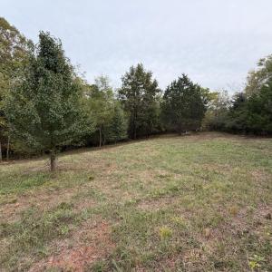 Photo #4 of Moneta Road, Moneta, VA 1.9 acres